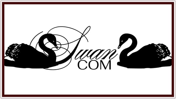 SwanCom landing page screenshot